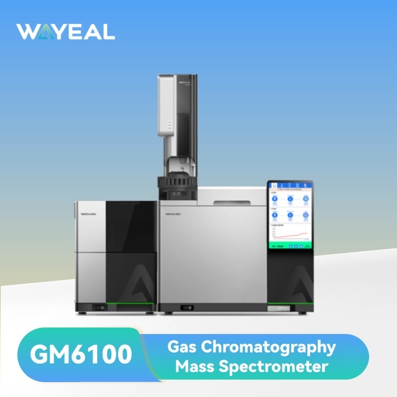 10.1 inch touch screen GC-MS gas cromatografia spettrometro di massa con fonte di ioni EI