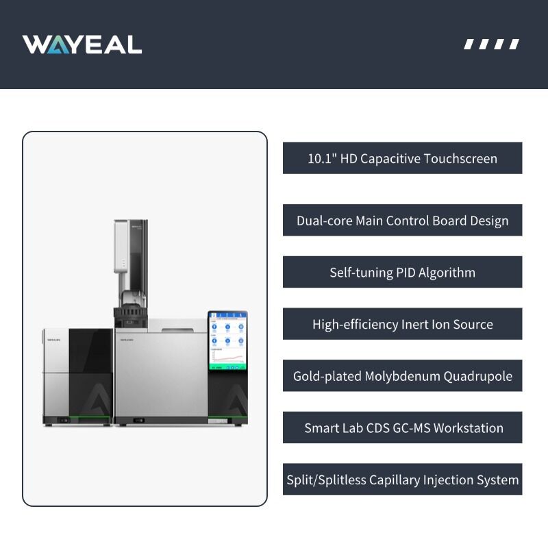 Sistema Cromatografo Gas-Massa GM6100 Marca China con 16 Iniettori