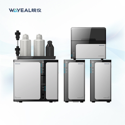 Doppi rivelatori del sistema Ion Chromatography Instrument With Amperometric