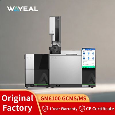 Qualità Cromatografo Gas GCMS con Spettrometro di Massa a Quadrupolo Singolo con Touchscreen HD da 10,1 pollici fabbrica